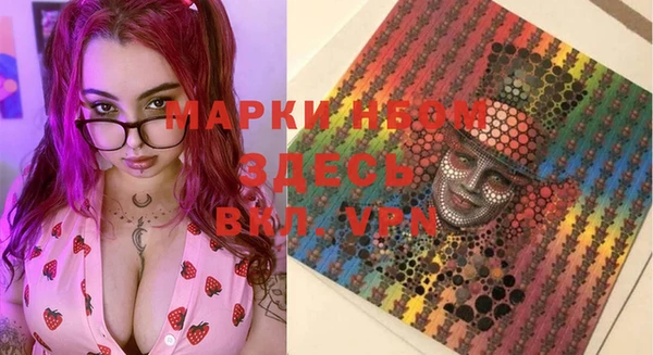 PSILOCYBIN Алзамай