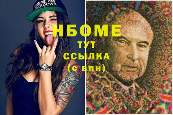 PSILOCYBIN Алзамай