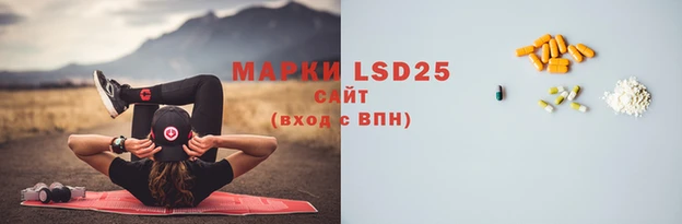 PSILOCYBIN Алзамай