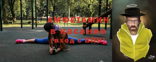 индика Киреевск