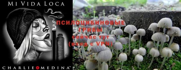 ALPHA PVP Алексин