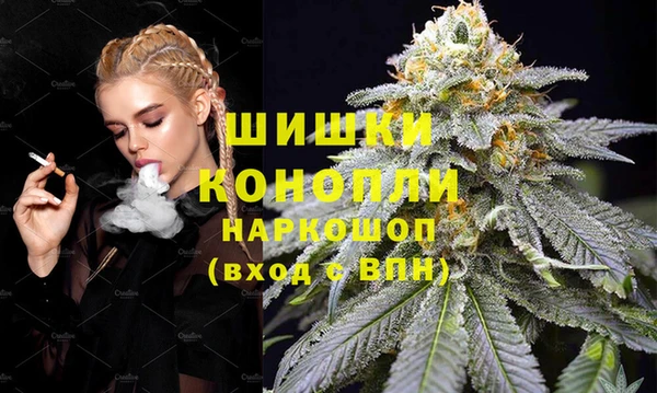 PSILOCYBIN Алзамай