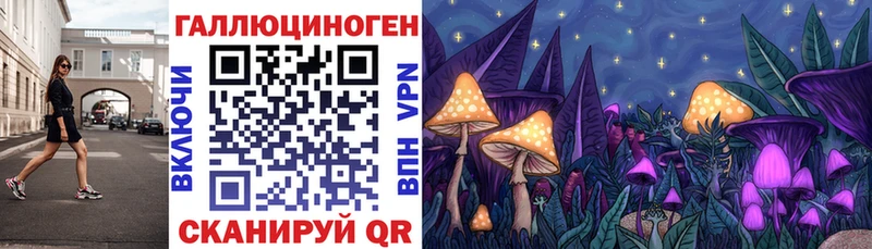где купить   Межгорье  мега зеркало  Псилоцибиновые грибы Psilocybe 